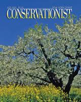 conservationist是什么意思