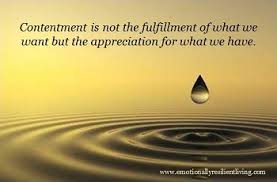 contentment是什么意思