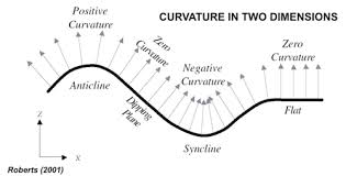 curvature是什么意思