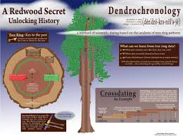 dendrochronology是什么意思