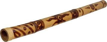 didgeridoo是什么意思