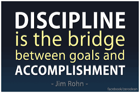 discipline是什么意思