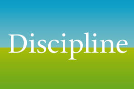 disciplined是什么意思
