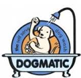 dogmatic是什么意思