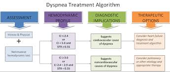 dyspnea是什么意思
