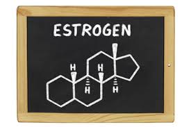 estrogen是什么意思