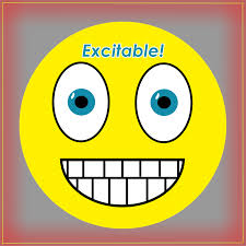 excitable是什么意思