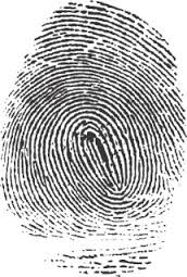 fingerprint是什么意思