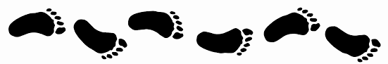 footprint是什么意思
