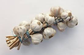 garlic是什么意思