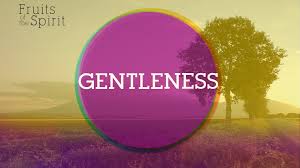 gentleness是什么意思