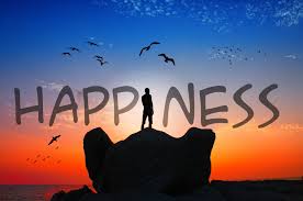 happiness是什么意思