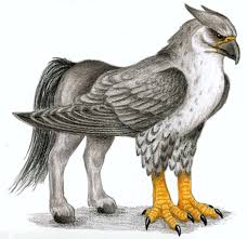 hippogriff是什么意思,hippogriff怎么读,hippogriff翻译为:(神话中的