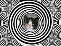 hypnotize是什么意思
