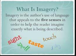 imagery是什么意思