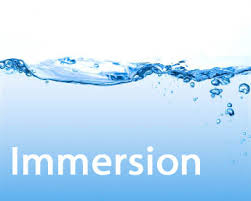 immersion是什么意思