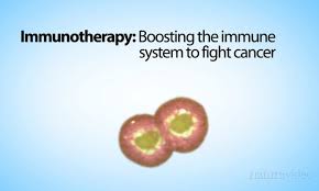 immunotherapy是什么意思