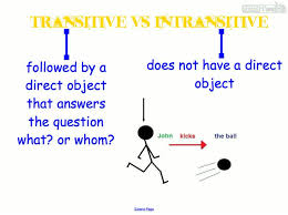 intransitive是什么意思