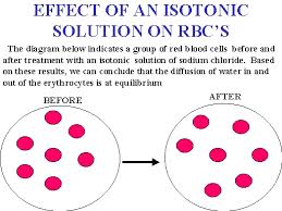 isotonic是什么意思