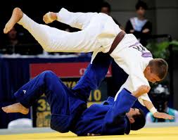 judo是什么意思