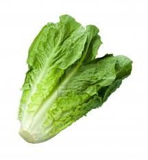 lettuce是什么意思