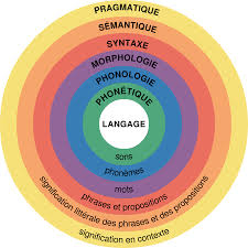 linguistic是什么意思