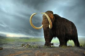 mammoth是什么意思