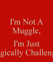 Muggle是什么意思