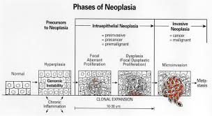neoplasia是什么意思