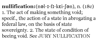 nullification是什么意思