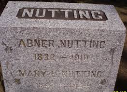 nutting是什么意思