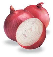 onion是什么意思