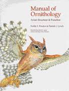 ornithology是什么意思