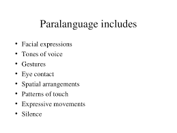 paralanguage是什么意思
