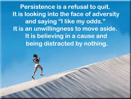 persistence是什么意思