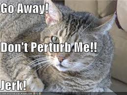 perturb是什么意思