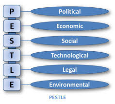 pestle是什么意思