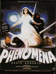 phenomena是什么意思