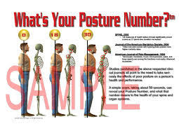 posture是什么意思