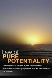 potentiality是什么意思