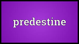 predestine是什么意思,predestine怎么读,predestine翻译为:预先确定