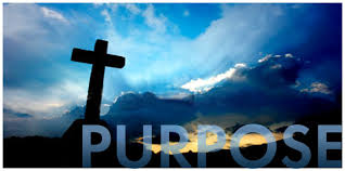 purpose是什么意思