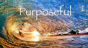 purposeful是什么意思
