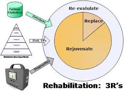 rehabilitate是什么意思