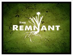 remnant是什么意思