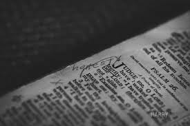 scriptural是什么意思