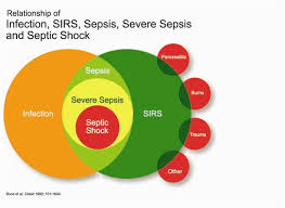 sepsis是什么意思