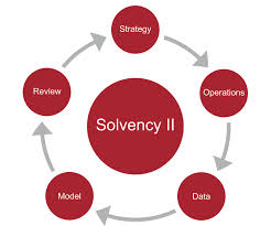 solvency是什么意思