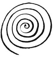 spiral是什么意思