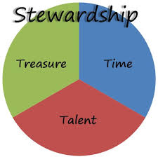 stewardship是什么意思